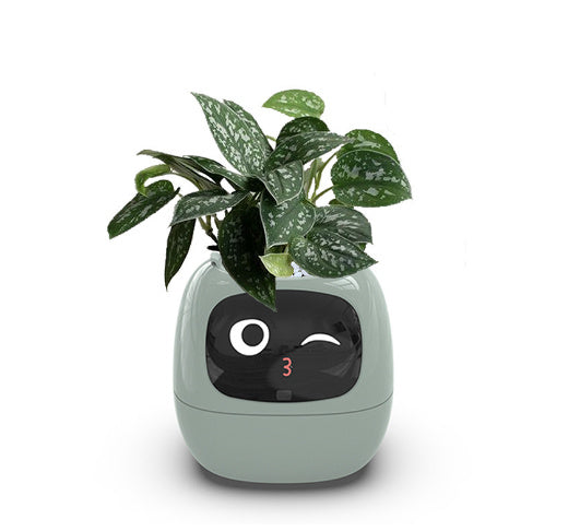 Ai Smart Planter with 49 Rich Expressions 7 Smart Sensors